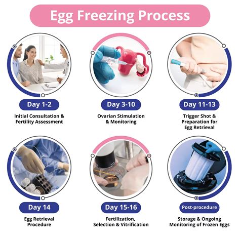 The Best Egg Freezing Services—and What to Consider Before .